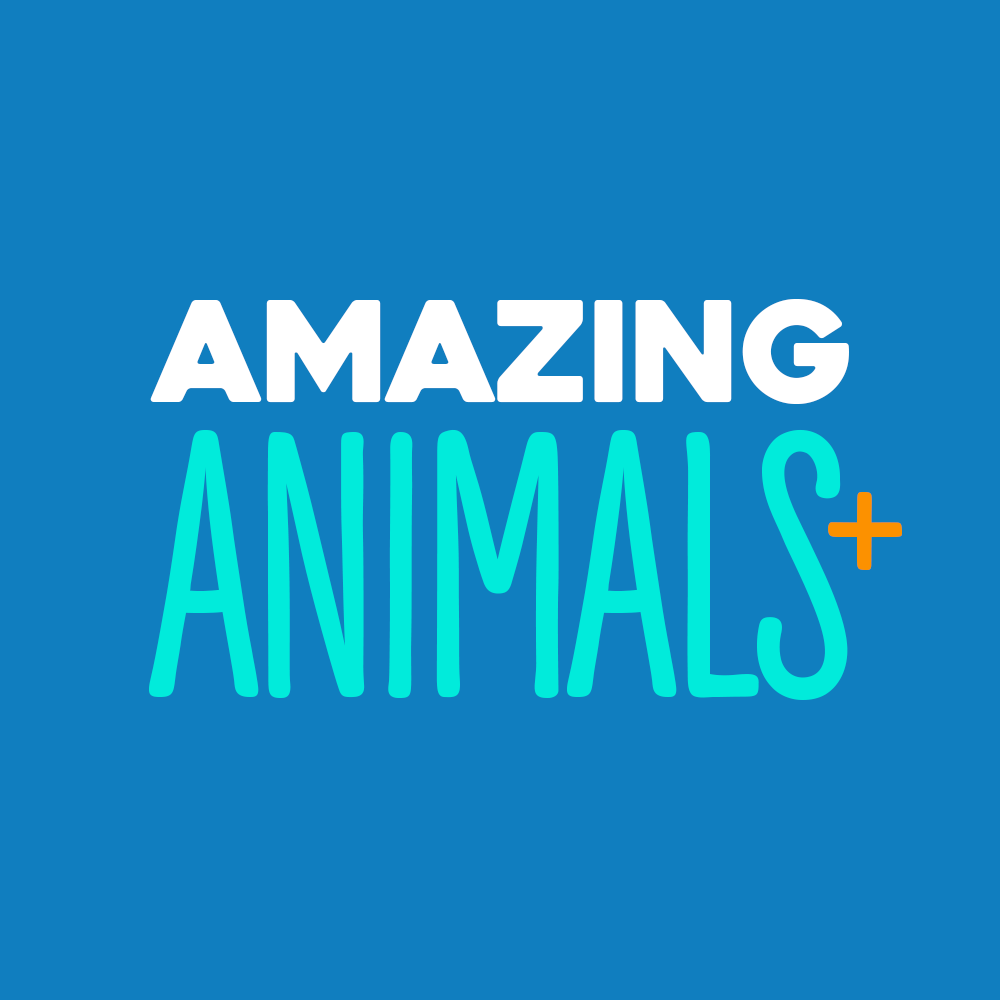 amazinganimalsplus.com